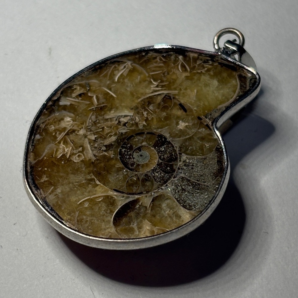 Ammonite Fossil Pendant